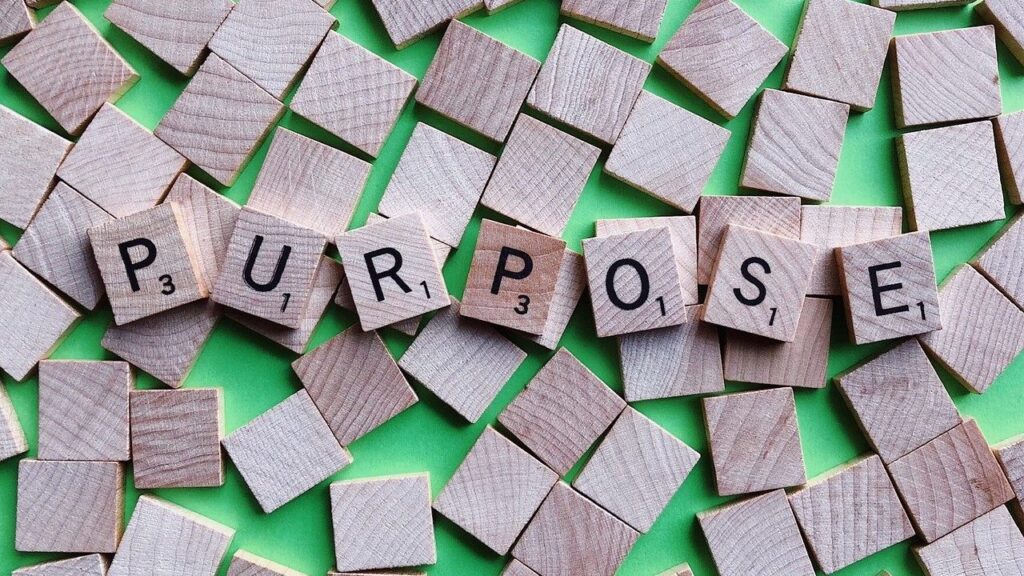 Purpose