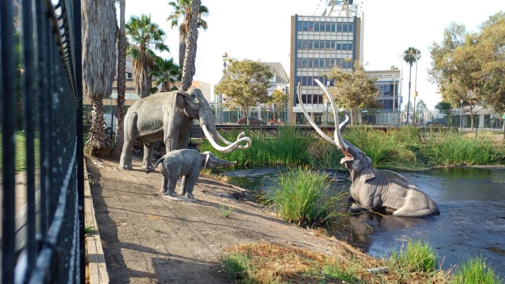 Labrea-tar-pits