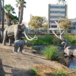 Labrea-tar-pits