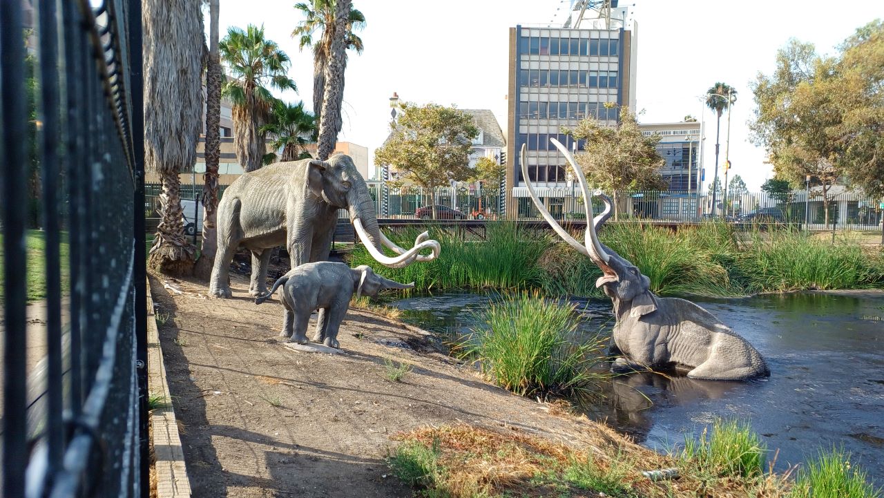 Los Angeles insolita: i LaBrea Tar Pits Labrea-tar-pits