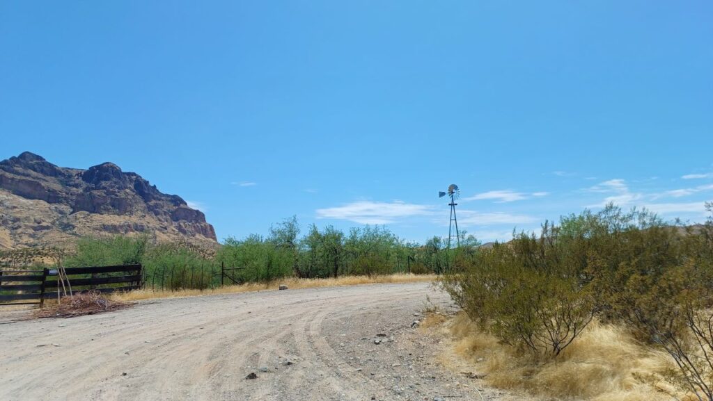 tonto-national-forest