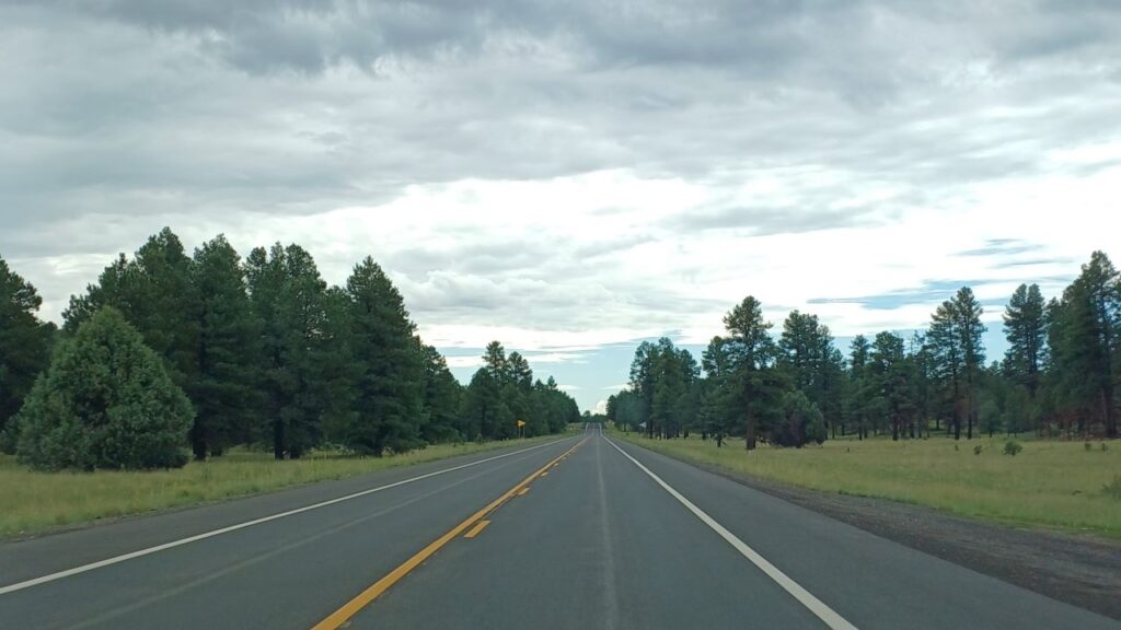 Coconino-National-Forest