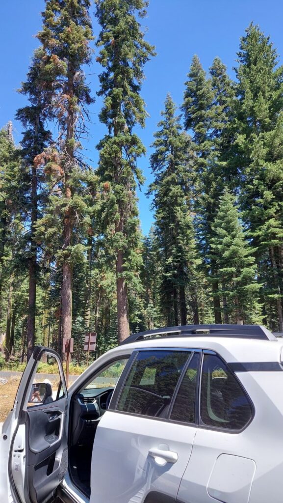 Oak-Flat-Road-Yosemite-California