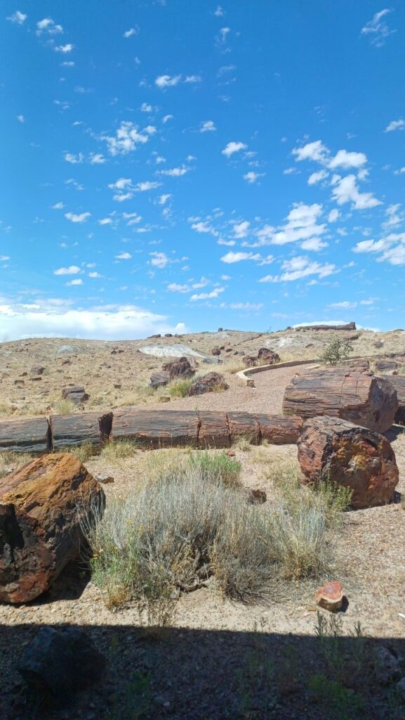 Petrified-Forest-Arizona