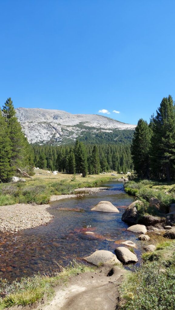 Tuolumne-River-Tioga-Road-Yosemite-California