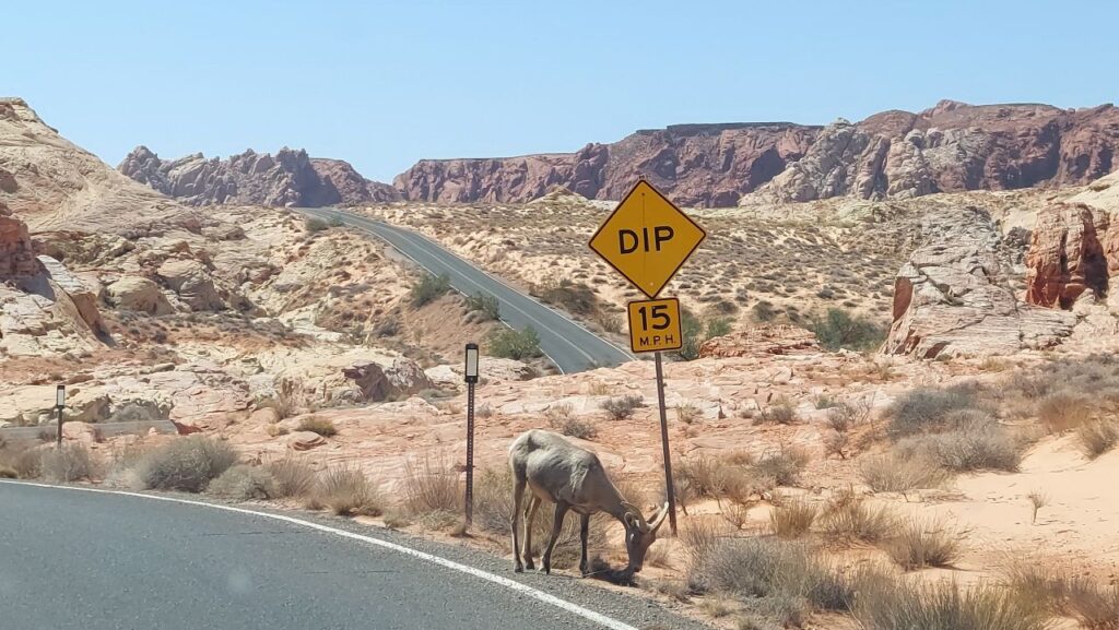 Valley-of-Fire