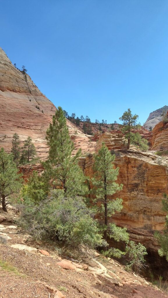 Zion-Utah