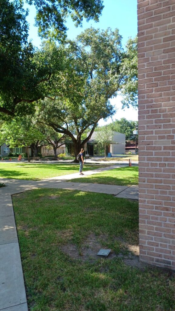 menil-collection-houston-texas-travel-to-usa-2