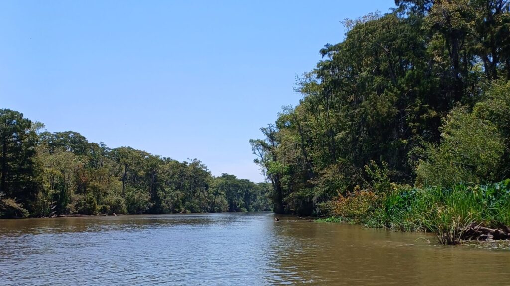 swamp-tour-louisiana-travel-to-usa-2