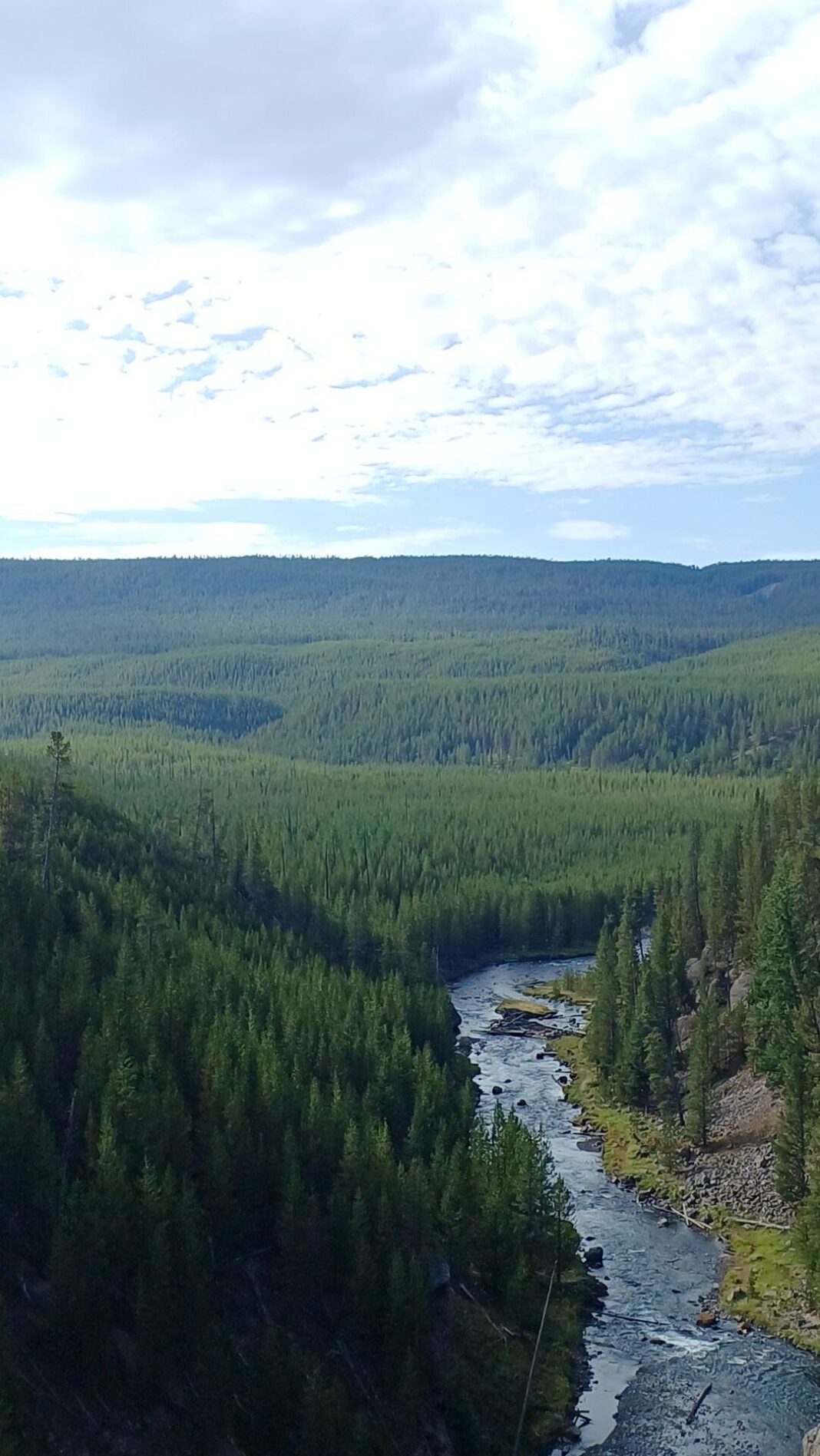 Costi tessera dei parchi 2026: l’America the Beautiful Pass diventa più cara yellowstone-wyoming-travel-to-usa-10-rotated