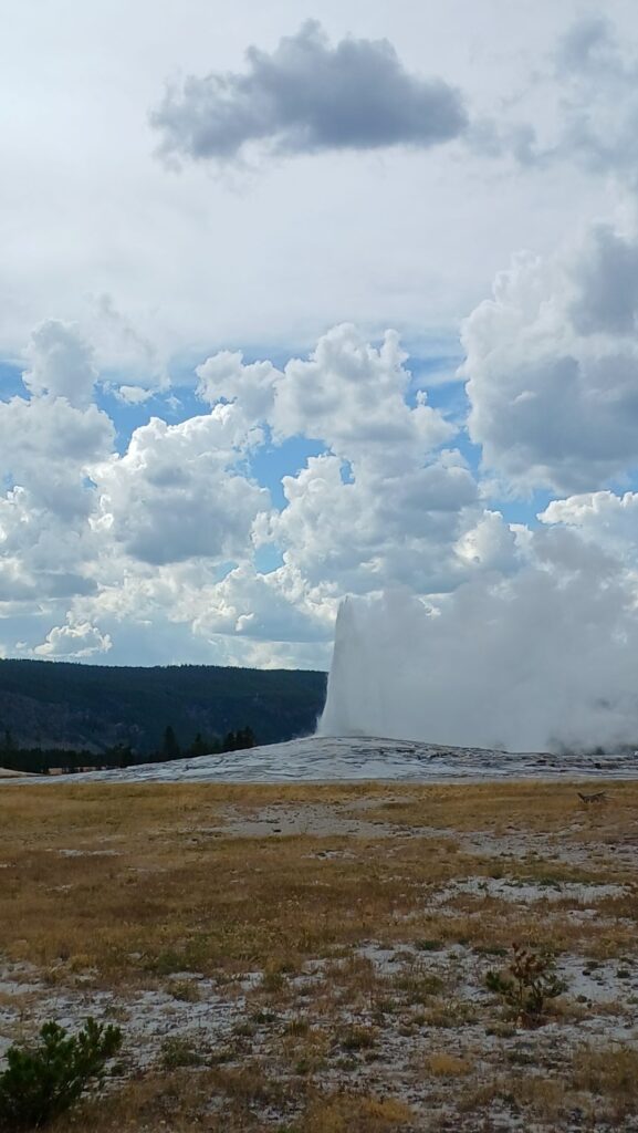 old faithful gayser yellowstone-wyoming-travel-to-usa-2