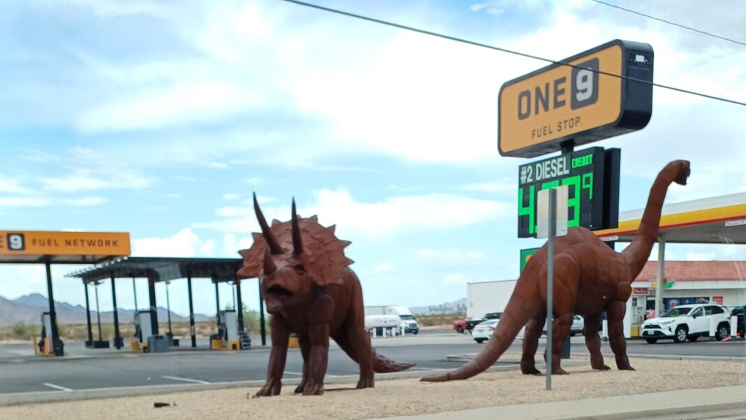 Dove andare per vedere la VERA America? gila-bend-dinosauri-arizona-travel-to-usa