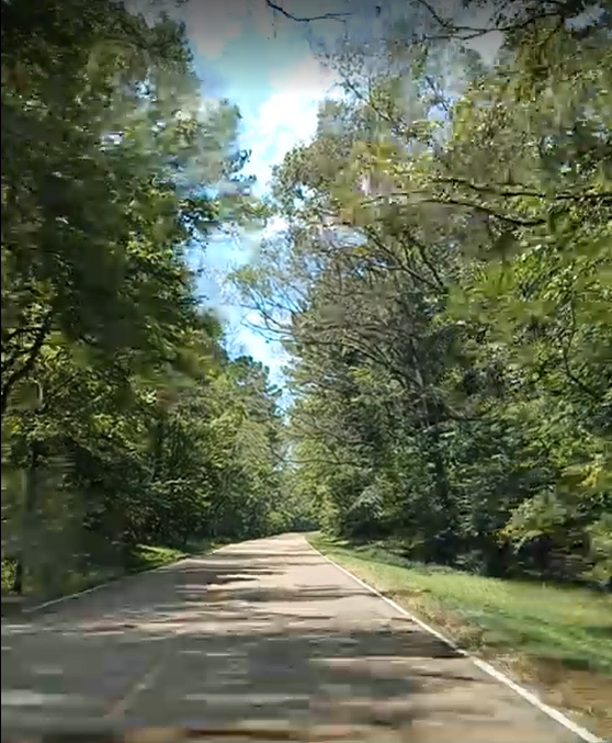 natchez-Trace-Parkway-mississippi-travel-to-usa-2