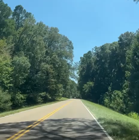 Natchez Trace Parkway: una delle strade più belle e silenziose del Sud natchez-Trace-Parkway-mississippi-travel-to-usa