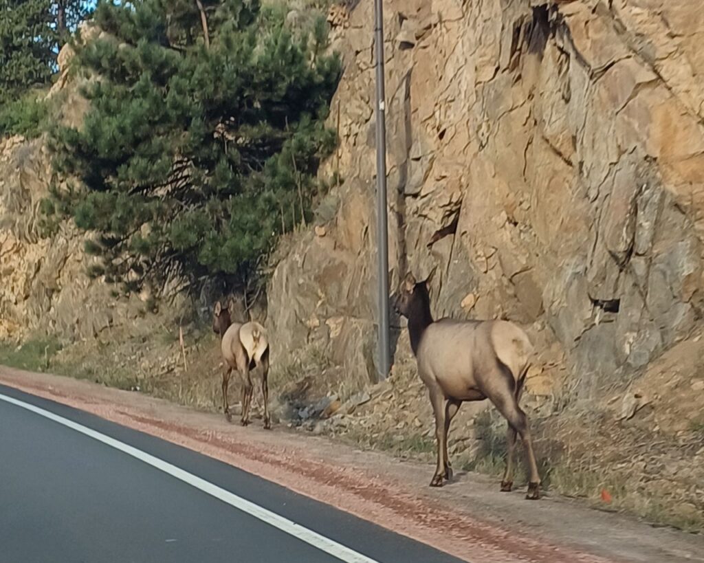 Rocky-Mountains-Estes-Park Colorado